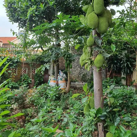 Jackfruit Homestay